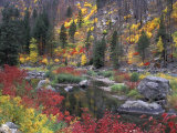 Wenatchee River and Fall Color, Tumwater Canyon, Washington, USA Photographic Print by Jamie & Judy Wild