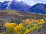 Colorful Aspens in Logan Canyon, Utah, USA Photographic Print by Julie Eggers