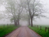 Sparks Lane on Foggy Morning, Cades Cove, Great Smoky Mountains National Park, Tennessee, USA Photographic Print by Adam Jones
