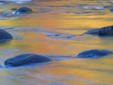 Fall Colors Reflect in the West River, Jamaica State Park, Vermont, USA Photographic Print by Jerry & Marcy Monkman