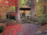 Japanese Gazebo with Fall Colors, Spokane, Washington, USA Photographic Print by Jamie & Judy Wild
