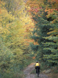 Mountain Biking on Old Logging Road of Rice Hill, Green Mountains, Vermont, USA Photographic Print by Jerry & Marcy Monkman