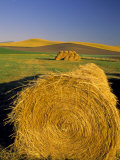 Hay Bales in Field, Palouse, Washington, USA Reprodukcja zdjęcia autor Terry Eggers Hay Bales in Field, Palouse, Washington, USA Reprodukcja zdjęcia autor Terry Eggers