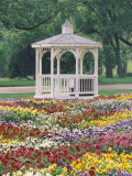 Patchwork of Pansies and Gazebo, Columbus, Ohio, USA Photographic Print by Adam Jones
