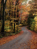 Country Road, Vermont, USA Fotografie-Druck von Charles Sleicher