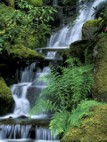 Japanese Garden, Portland, Oregon, USA Photographie par Adam Jones