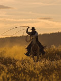 Ranch Living at The Ponderosa Ranch, Seneca, Oregon, USA Photographic Print by Joe Restuccia III