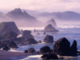 Morning Mist along Oregon Coast near Nesika, Oregon, USA Photographic Print by Adam Jones