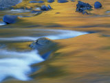 Fall Colors Reflect in the West River, Jamaica State Park, Vermont, USA Photographic Print by Jerry & Marcy Monkman