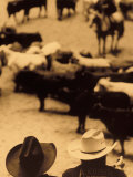 Cowboys at Indoor Rodeo, Fort Worth, Texas, USA Photographic Print by Walter Bibikow