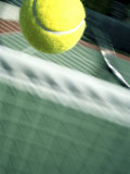Tennis Racquet, Ball and Net Impressão fotográfica Tennis Racquet, Ball and Net Impressão fotográfica