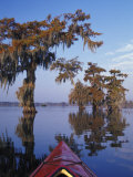 Kayak Exploring the Swamp, Atchafalaya Basin, New Orleans, Louisiana, USA Photographic Print by Adam Jones