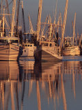 Shrimp Boats Tied to Dock, Darien, Georgia, USA Photographic Print by Joanne Wells
