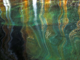 Stained Rock Underwater, Pictured Rocks National Lakeshore, Michigan, USA Photographic Print by Claudia Adams