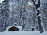 Log Cabin in Snowy Woods, Chippewa County, Michigan, USA Photographic Print by Claudia Adams
