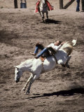 Rodeo, Truckee, California, USA Photographic Print