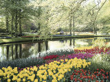 Keukenhof Gardens, Lissa, Netherlands Photographic Print