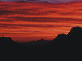Sonora Desert, Saguaro National Park, Arizona, USA Photographic Print by Dee Ann Pederson
