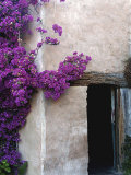 Carmel Mission, Carmel, California, USA Photographie