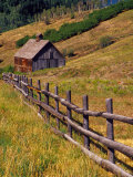 Barn on Last Dollar Road near Telluride, Colorado, USA Photographic Print by Julie Eggers