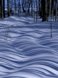 Tree Shadows on Snowy Two Track, Deerton, Michigan, USA Photographie par Claudia Adams