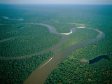 Amazon River, Amazon Jungle, Brazil Photographic Print