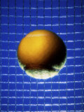 Ball Against Racquet Photographic Print