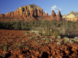 Red Rock Country, Sedona, Arizona, USA Photographic Print by Jamie & Judy Wild