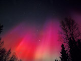 Curtains of Northern Lights above Fairbanks, Alaska, USA Photographie par Hugh Rose
