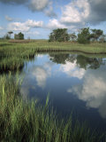Morning Light on Chimney Creek Pond, Savannah, Georgia, USA Photographic Print by Joanne Wells