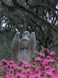 Bonaventure Cemetery, Savannah, Georgia, USA Photographie par Joanne Wells
