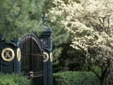 Entrance to Keenland Horse Race Track, Lexington, Kentucky, USA Photographic Print by Michele Molinari