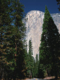 El Capitan, Yosemite National Park, California, USA Lámina fotográfica por Dee Ann Pederson El Capitan, Yosemite National Park, California, USA Lámina fotográfica por Dee Ann Pederson