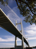 Dames Point Bridge, Jacksonville, Florida, USA Photographic Print