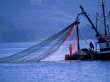 Commercial Fishing Trawler, Frederick Arm, Inside Passage, Southeast Alaska, USA Photographic Print by Stuart Westmoreland