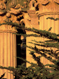 Palace of Fine Arts, Presidio, San Francisco, California, USA Photographie par William Sutton