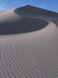 White Sands, New Mexico, USA Fotografie-Druck von Dee Ann Pederson