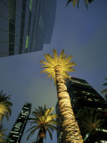 Downtown Los Angeles, Civic Center Area, California, USA Photographic Print by Stuart Westmoreland