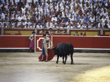 Bullfight, Pamplona, Spain Photographic Print