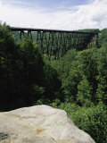 Kinzua Bridge State Park, Pennsylvania, USA Photographic Print