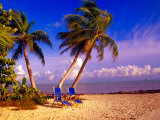 Palm Trees and Beach Chairs, Florida Keys, Florida, USA Fotografie-Druck von Terry Eggers