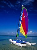 Catamarans, Florida Keys, Florida, USA Photographic Print by Terry Eggers