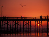 Newport Beach Pier, California, USA Photographic Print by Nik Wheeler