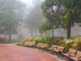 Azaleas Along Brick Sidewalk and Benches at Forsyth Park, Savannah, Georgia, USA Photographic Print by Joanne Wells