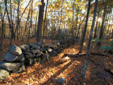Stone Wall, Nature Conservancy Land Along Crommett Creek, New Hampshire, USA Photographic Print by Jerry & Marcy Monkman
