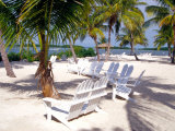 Palm Trees and Beach Chairs, Florida Keys, Florida, USA Lámina fotográfica por Terry Eggers