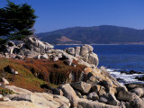 17-Mile Drive, Pescadero Point, Carmel, California, USA Photographic Print by Nik Wheeler