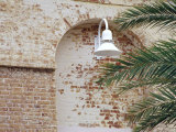 Old Brick Wall with Palm Trees, Key West, Florida Keys, Florida, USA Photographic Print by Terry Eggers