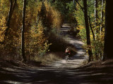 Marlette Lake Trail, Lake Tahoe, Nevada Photographic Print