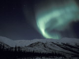 Northern Lights Curtain of Green and Yellow, Brooks Range, Alaska, USA Photographic Print by Hugh Rose